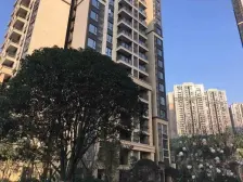 中海阅江阁 中低楼层 清水房 业主诚心出售 次新小区