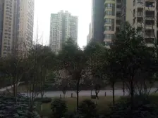 西区 泽科港城国际二房