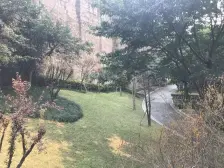 弹子石 龙湖郦江三房103万