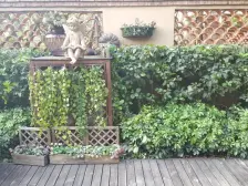 搂汪位置,安静,中间楼层采光好