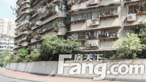 二道桥街6号 4室2厅 西南