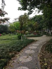 居然小区 2室1厅 西南