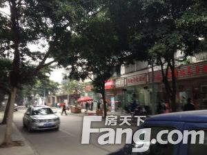 蜀汉街8号 3室2厅 南 北