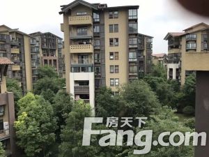 悠山郡 3室2厅 东南