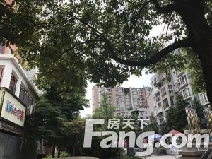 江水湾一二期 3室2厅 东