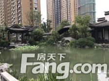 秀逸书杭 万达 医院 小区环境优雅!!