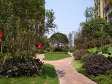 单间配套,阳台朝南,四十平米的大花园,水电气三通