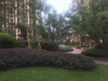 不是洋房买不起 这个更有那什么比