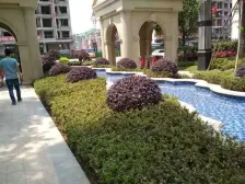 国盛园墅南区 3室3厅 南