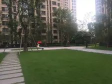 龙湖天街, 清水两房,中间楼层,安静