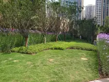 西永 首创光和城二房65万