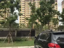 本地动迁美文苑小区前排边套两房中间楼层业主诚心出售
