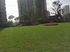 大坪万科 精装三房 随时看房 业主急售