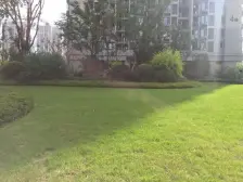 正规精装三房,看房方便,业主诚心出售