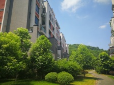 业主诚心出售,小区环境好,采光好