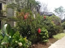 国盛一楼花园洋房 带地下室 单间配套