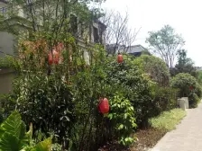 西永联排中户+双车位+花园+近融创茂