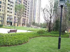 西永恒大联排别墅中户,前后花园带地下室