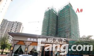 荷城城区毛坯四房户型,配套成熟,小区管理