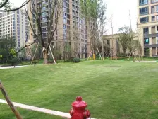 西永微电园 龙湖天街旁边 正规精装两房 拎包入住