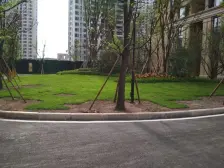 恒大优活城花园里 2室2厅 南