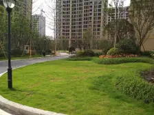 此房朝中庭,朝南户型,楼层采光视野好