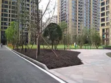 微电园轻轨旁中式装修 四房四卫 明远未来