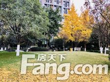 万科金色海蓉二期 2室1厅 北