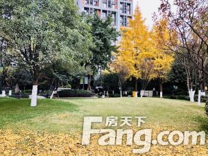 万科金色海蓉二期 2室1厅 北