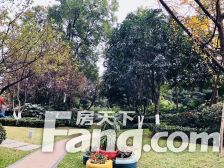 万科金色海蓉二期 2室1厅 南