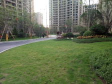 西永 恒大优活城一二组团二房