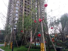 此房朝中庭,朝南户型,楼层采光视野好