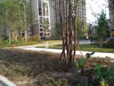 龙洲湾 康居雅苑二房40万