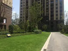 金科天宸三街区 3室1厅 东南