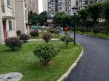 西区 金玉雅居三房60万