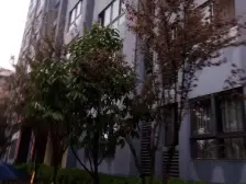 兴华西路 德邦广场三房49万