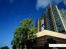 新鸿基地产,全海景,饱览维港烟花景