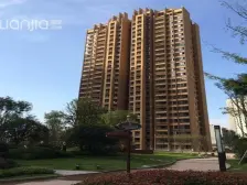 凤凰湖 协润凤凰世纪城三房50万