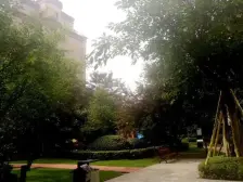 旭辉洋房顶跃 已现浇 大露台 价格可谈