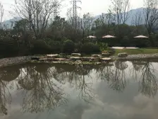 视野开阔采光充足,朝向中庭,业主诚心出售,随时看房