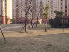 野生动物园站,楼层好,房龄新,诚心出售。