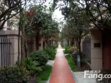 龙洲湾 曦园创景五房200万