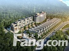 免佣!全新,大花园464.6平方米,低密度独立洋房,内置电梯