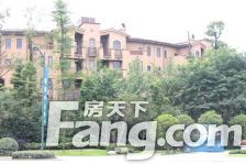 中信云栖谷二期玉堂镇 1室1厅 东南