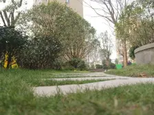 名溪花苑139平方3室2厅2卫125万