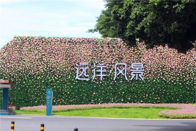 远洋风景