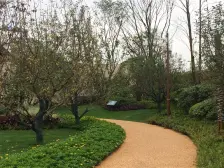 天骄公园 4室2厅 东南