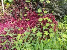 万科金域蓝湾四期 3室2厅 东