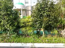 汽博板块,次新小区,万科品质管理,精装叁房