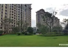 苏泊尔紫桂苑 3室2厅 南 北